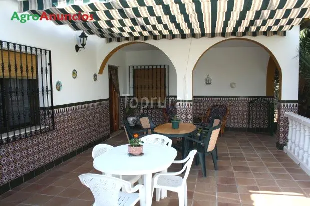 Venta  de Finca rústica de olivar con casa en Córdoba