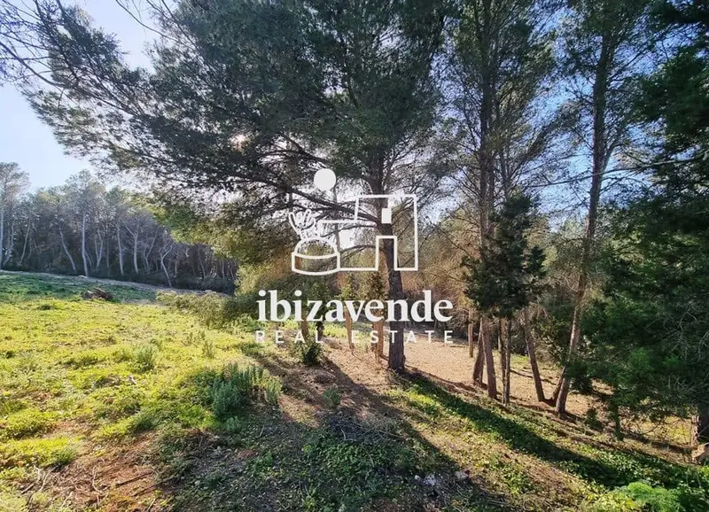 Finca Rustica en Venta Santa Gertrudis Ibiza