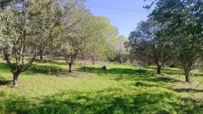 Finca Rustica en Venta Gerena 66000m2