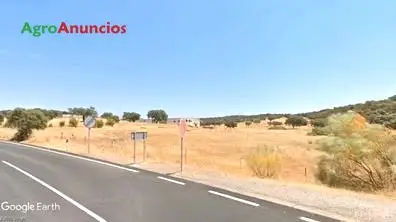 Venta  de Finca de secano y encinas con explotación ganadera en Córdoba