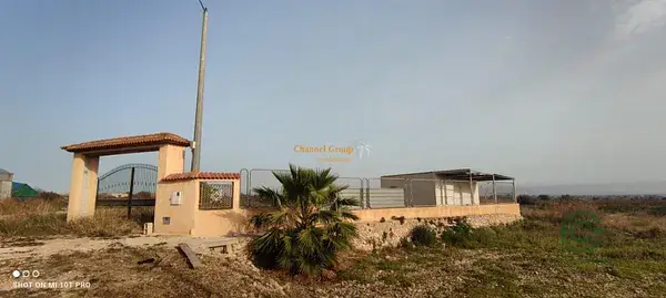 Casa en Crevillent 9000m2 con Casita 65m2