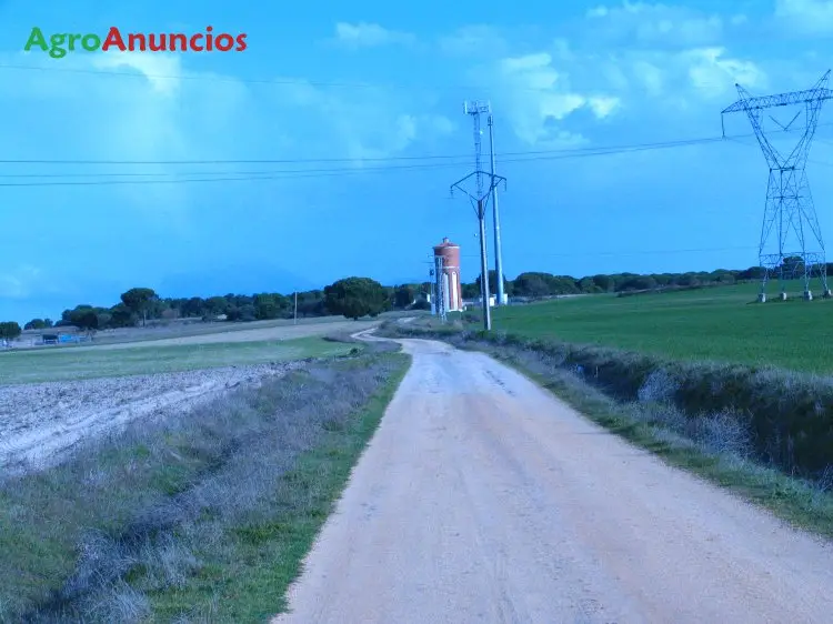 Venta  de Finca forestal y de recreo en Valladolid