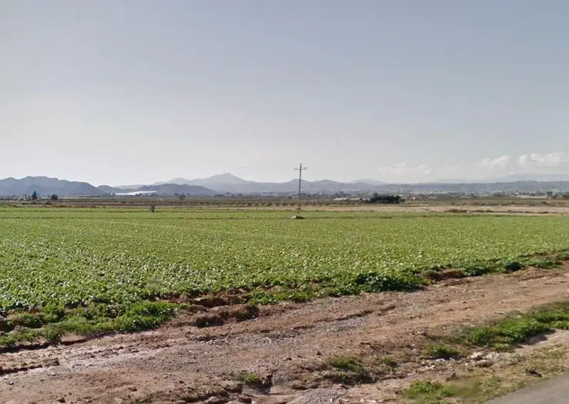 Venta Parcela Altobordo Lorca 11015m2 Cultivo