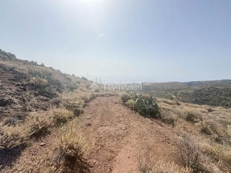 Terreno Rústico en Venta en Ingenio 4100m²