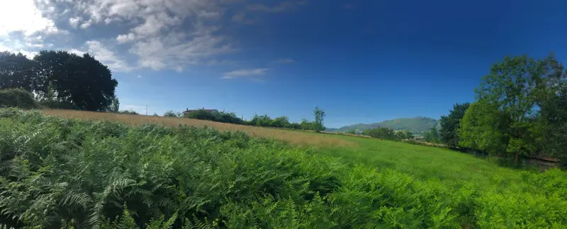 Venta Finca Edificable San Claudio Oviedo