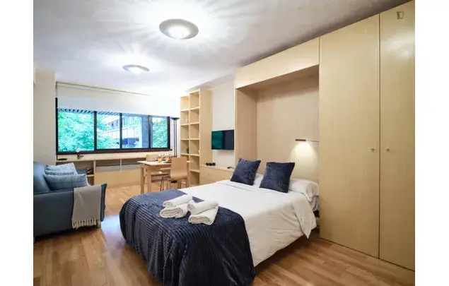 Apartamento Barrio Salamanca Madrid Alquiler Temporada