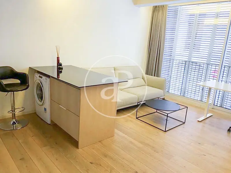 Apartamento Reformado en El Barri Gotic Barcelona