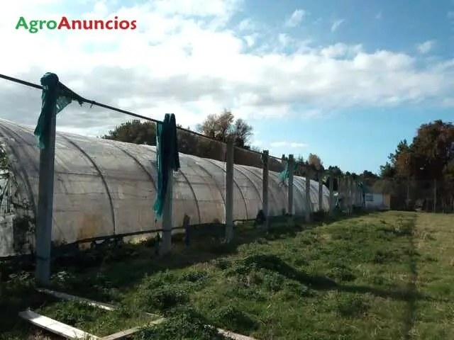 Alquiler  de Finca con invernaderos en Asturias