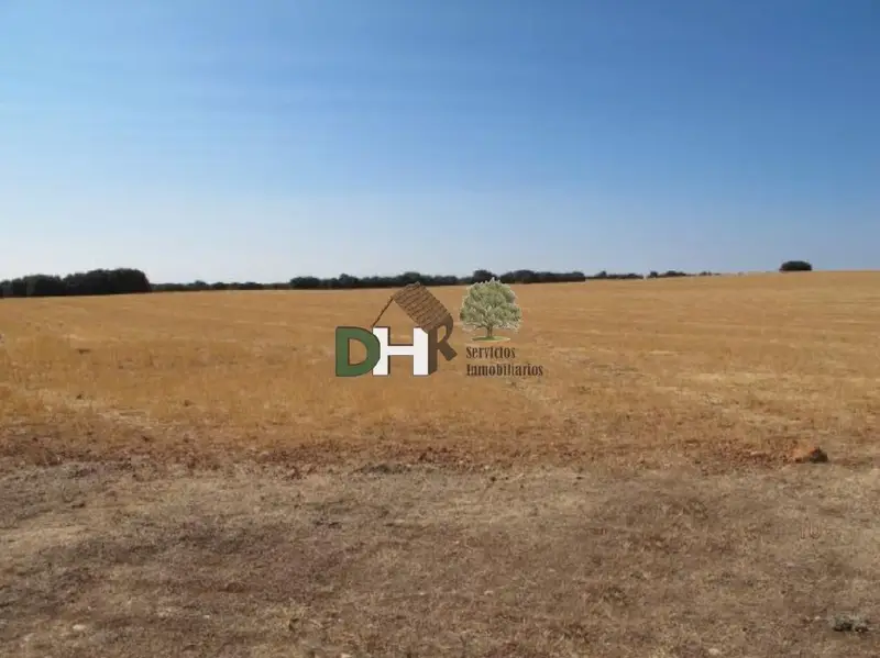 Venta Finca Rustica Ciudad Real 530 Hectareas Caza Mayor