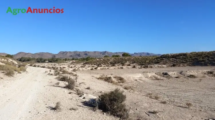 Alquiler  de Finca rústica en Murcia