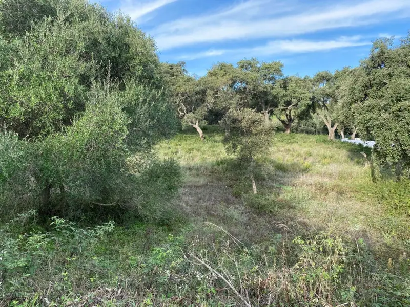 Terreno en Venta Golf San Roque Club