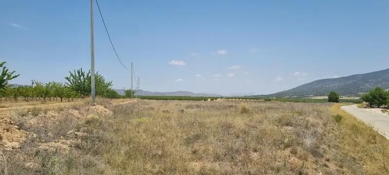 Terrenos en venta
Yecla, Murcia