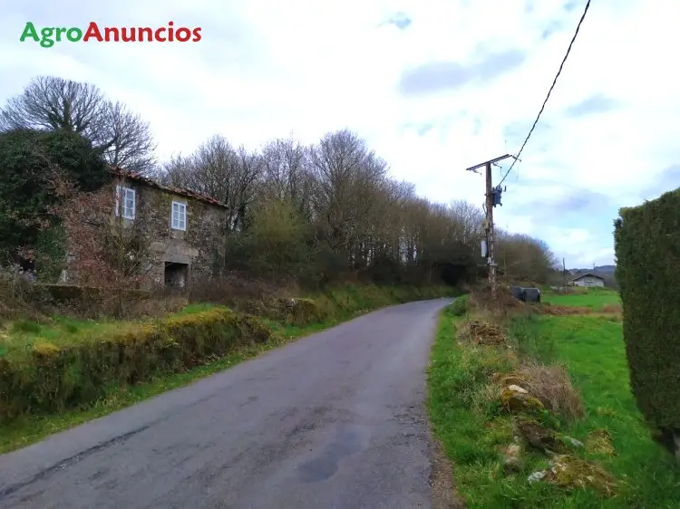 Venta  de Finca con casa en Lugo