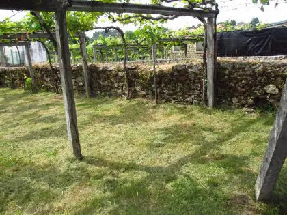 Venta Casa Santa Cruz Ribadulla 2 Plantas Bodega Lagar Fincas