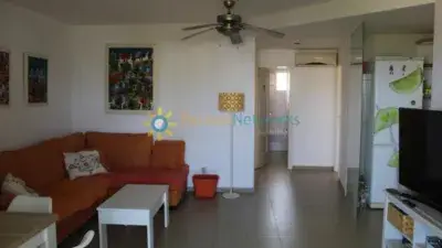 Apartamento en alquiler en Platja D'Oliva