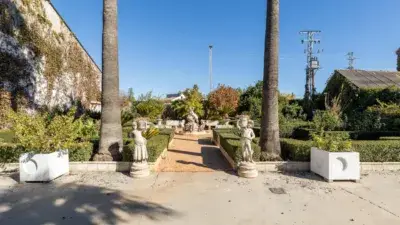 Finca con Licencias Turistica y Ganadera en Vega de Granada