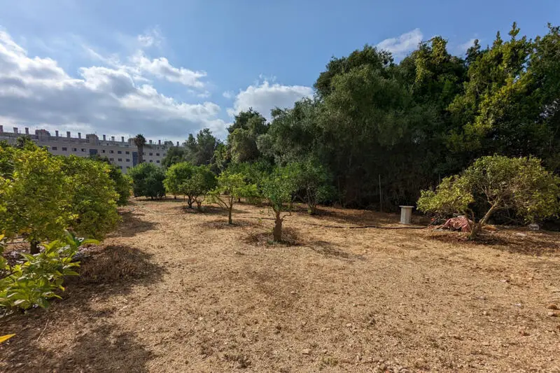 Terreno en Venta Denia 2000m2 Cerca Playa