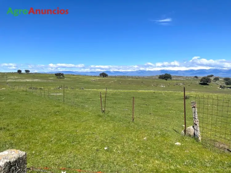 Venta Finca Ganadera en Caceres con Acceso a Autopista