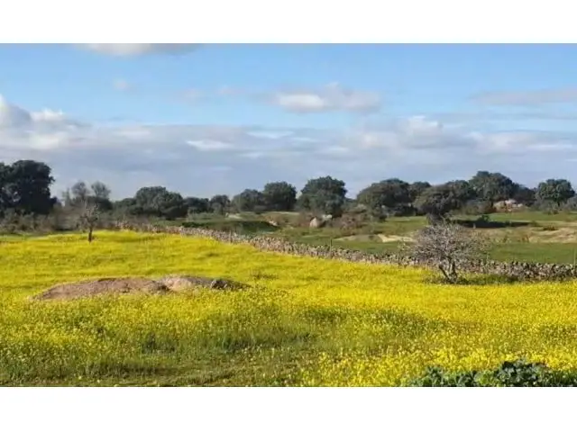 Finca Rustica 25 Hectareas Buen Acceso
