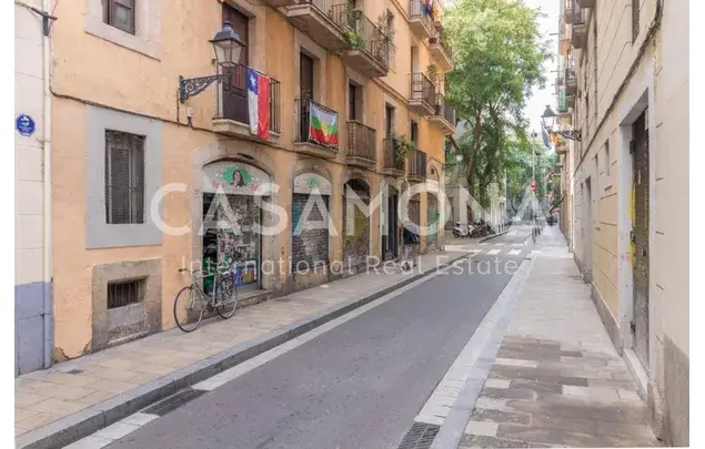 Alquiler Apartamento 1 Dormitorio 55m2 Barcelona Centro