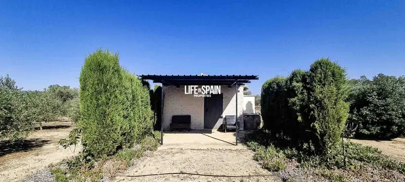 Finca/Casa Rural en venta en Ginestar, Tarragona