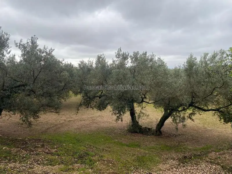 Parcela Rustica en Venta Roquetes