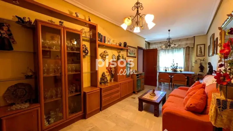 Piso en venta en Paseo de la Virgen de Linarejos