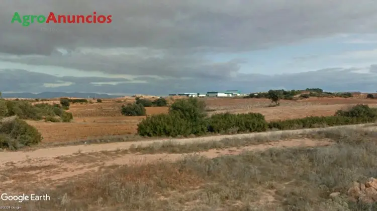 Venta  de Finca de labor en Valencia