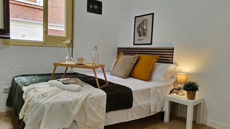Apartamento en Alquiler Madrid 1 Dormitorio 1 Ba

