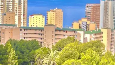 Apartamento en Alquiler Benidorm 3 Dormitorios Cerca Playa