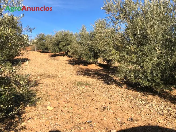 Venta  de Finca de recreo en Madrid