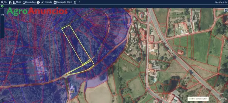 Venta  de Finca de monte en Pontevedra