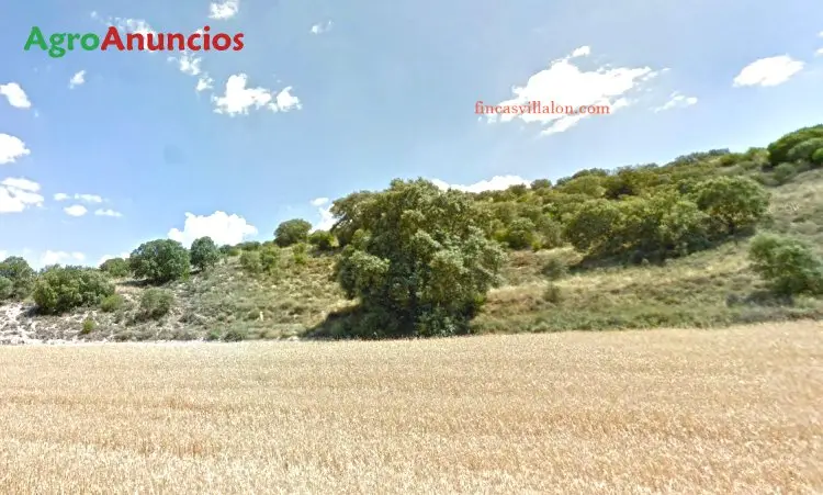 Venta  de Finca de caza en Toledo