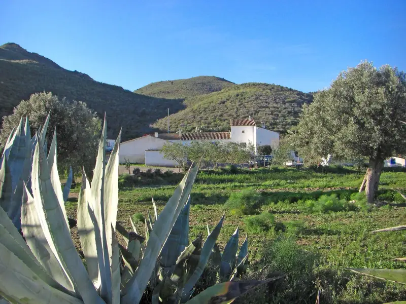 Finca Rural en Puerto Lumbreras Murcia 24 5 hectareas