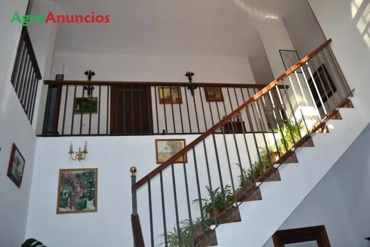 Venta  de Finca de alcornocales con caserío en Cádiz