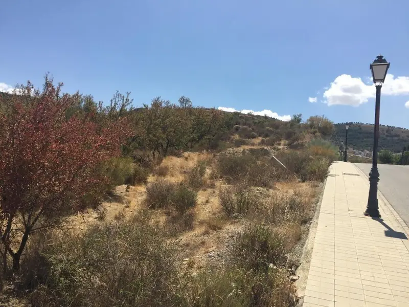 Venta Solar en Cañadas del Parque Dilar 12425m2 23 Unifamiliares