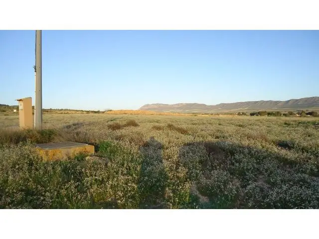 Finca Rustica en Venta Yecla Murcia