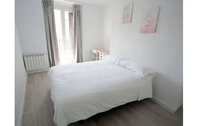 Apartamento 14 Dormitorios Madrid 150m2 Estudiantes
