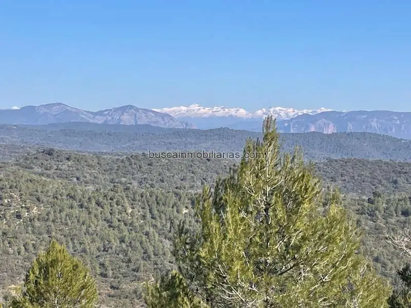 Finca Rustica en Luna Zaragoza 930 Hectareas Caza Monte