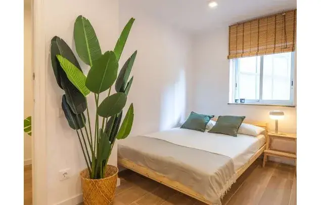 Rent a room of 146 m² in Barcelona