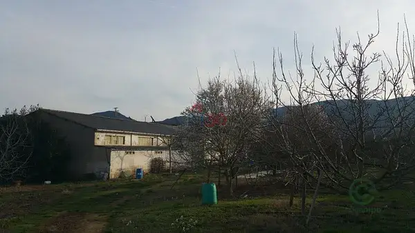 Pabellon 600m2 con terreno 4000m2 y huerto Burgos