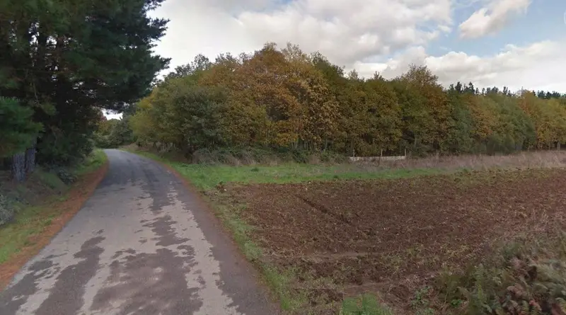 Terreno/Finca Rústica en venta en Vilalba, Lugo