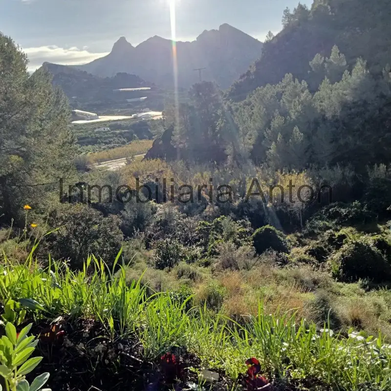 Venta Finca Rustica en Bolulla con Agua