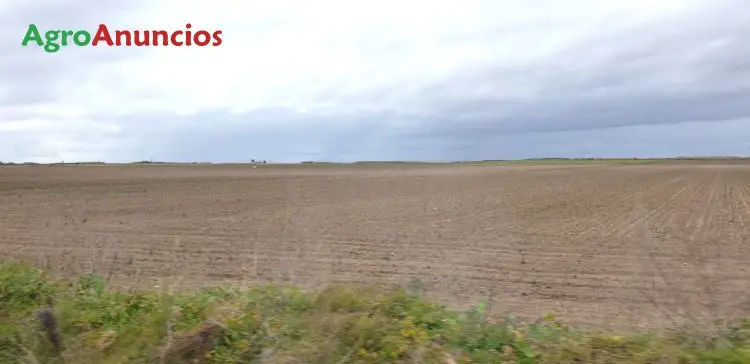 Venta  de Finca de regadío en Badajoz