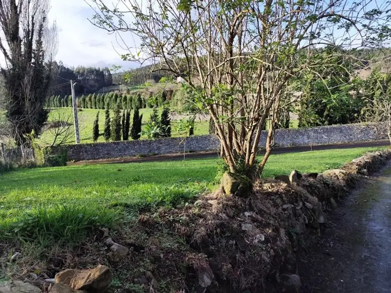 venta Terreno en Pravia, Asturias (67DD3)- Globaliza