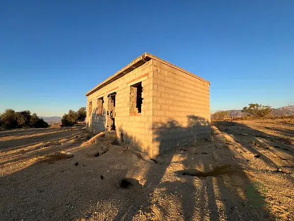Terreno Rustico con Olivos en Producción 28000m2