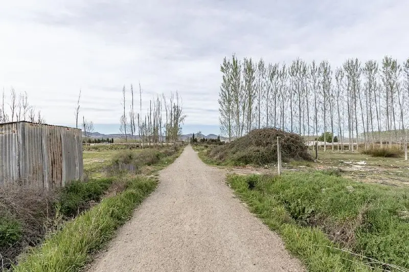 Venta Parcela Fuente Vaqueros 5 Marjales con Pozo