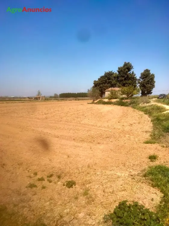 Venta  de Finca de regadío en Lleida