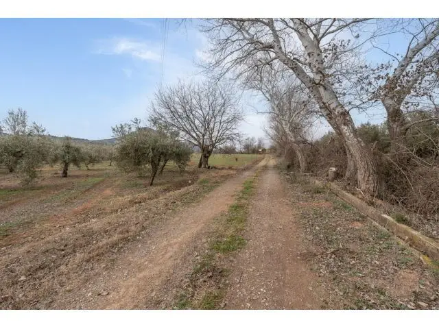 Finca Rustica Regadio Albolote 9337m2