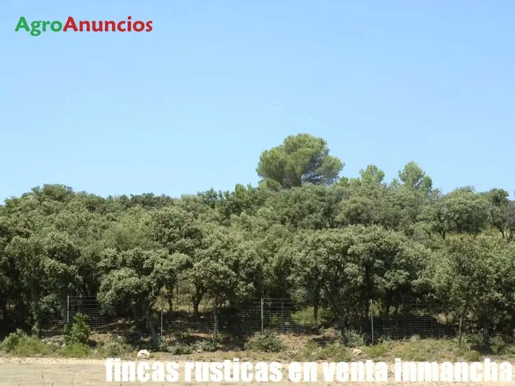 Venta  de Finca de recreo en Guadalajara